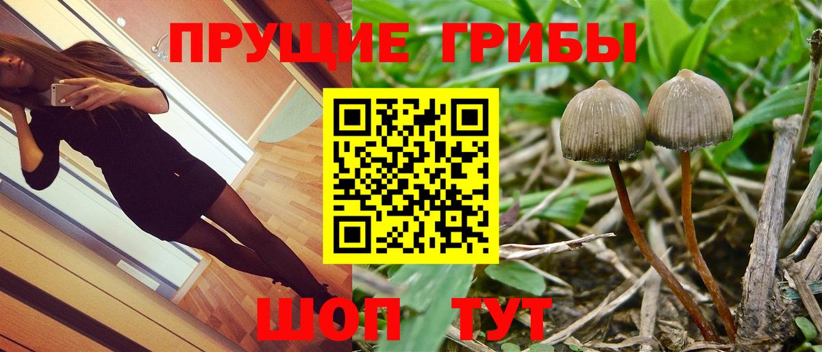 Салехард  Галлюциногенные грибы ЛСД  Вход с VPN 