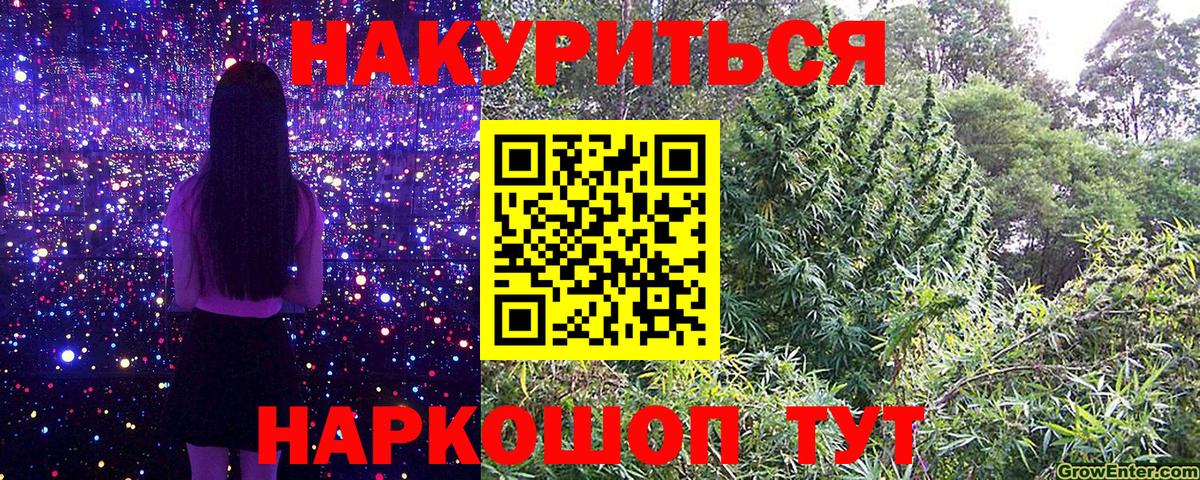 Шишки марихуана конопля Салехард